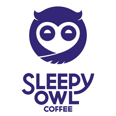 Sleepy Owl